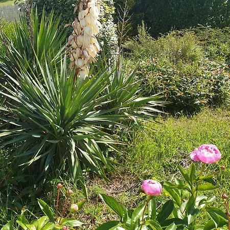 Spacieuse Proche Golf 18 Trous Villa *